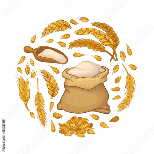 Wheat, organic grain products in circular shape. Bakery and pastry shop poster, card, background vector illustration