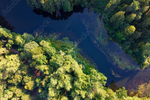 River and green forest aerial view