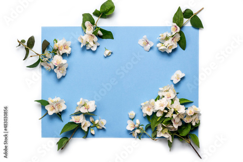 Jasmine flowers on a blue background.Floral greeting card. Flower frame.For the wedding, birthday, or other celebration.Top view.