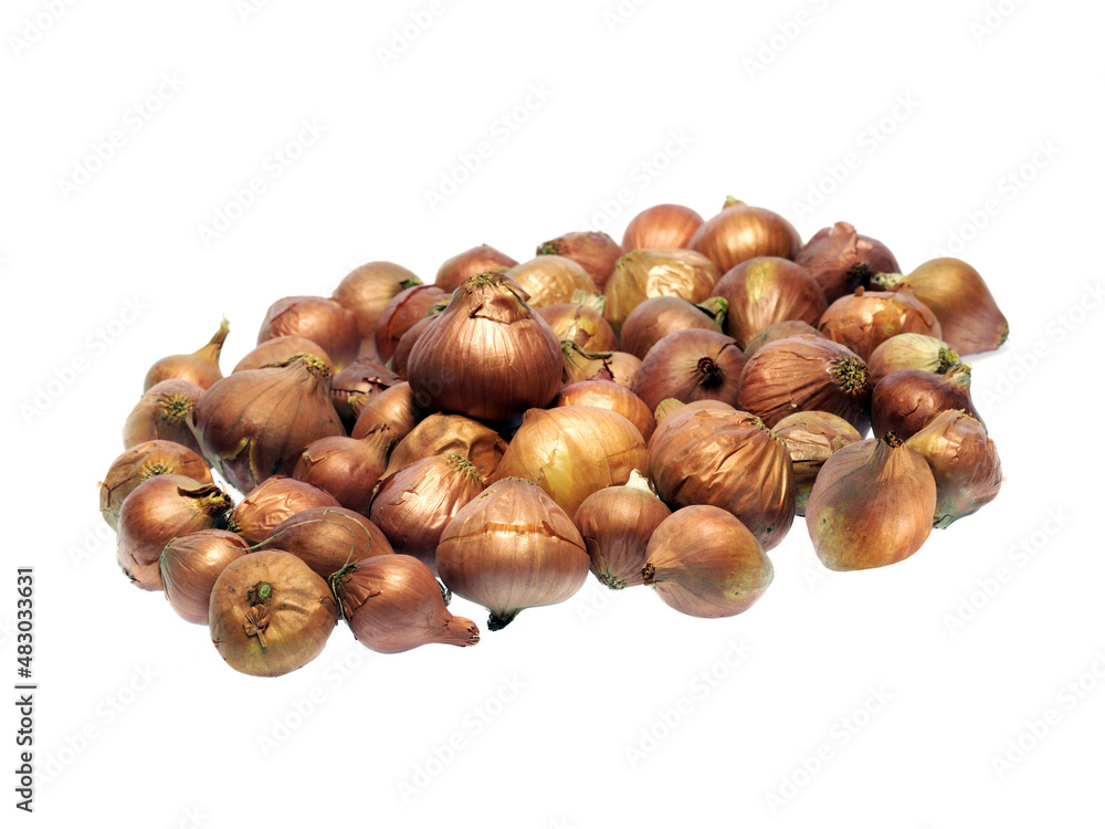 Obraz premium Full of Sweet Onions Isolated on White