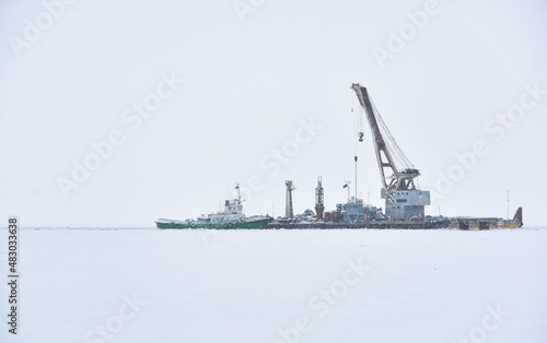 marine crane on the ice of a frozen bay