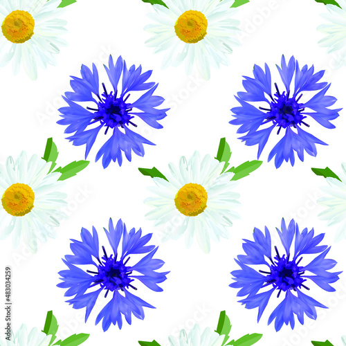 Blue cornflower and white Daisy flower with leaves on white background, geometric pattern, floral seamless texture, vector.