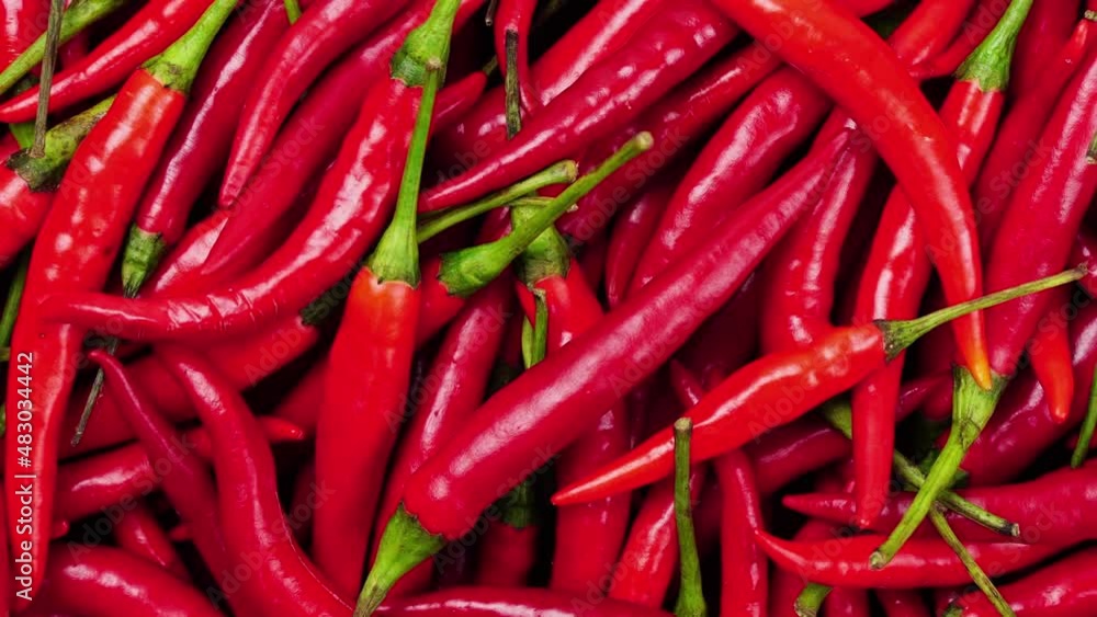 Chili pepper isolatedon white with clipping path. Ripe chili pepper. Chili pepper isolatedon white with clipping path. Ripe chili pepper.
