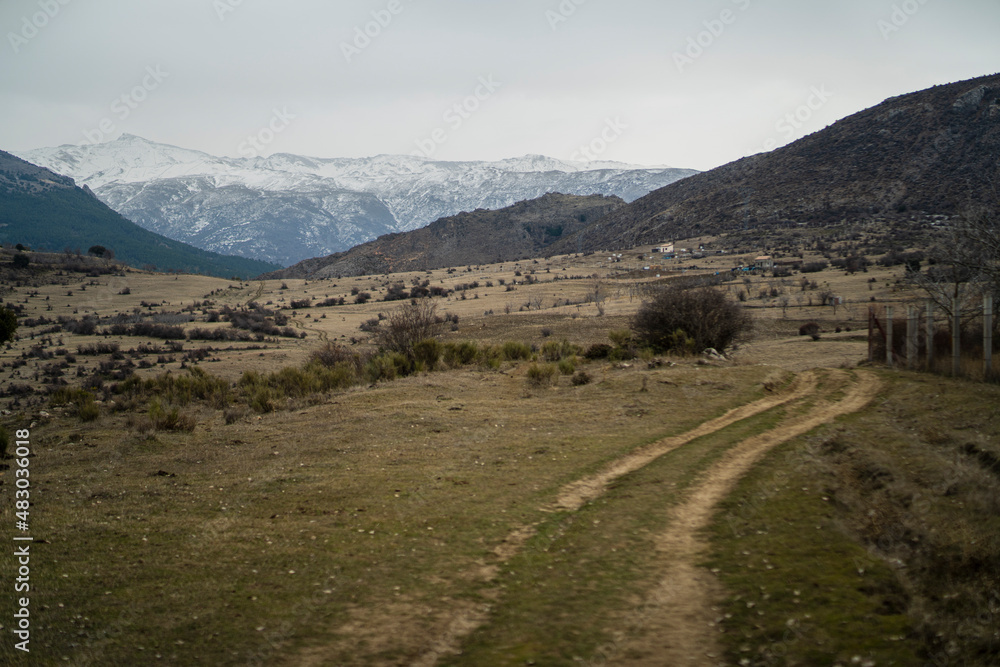 Paisaje de camino de tierra con el fondo de montañas nevadas de la sierra de Granada