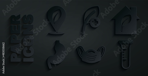 Set Medical protective mask, Eco friendly house, Human stomach, Test tube and flask, Leaf or leaves and Location with leaf icon. Vector