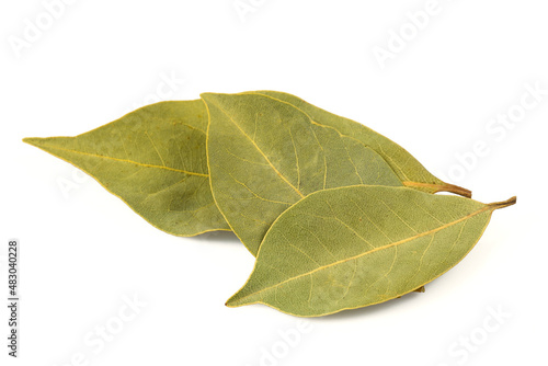 laurel leaf isolated on white background