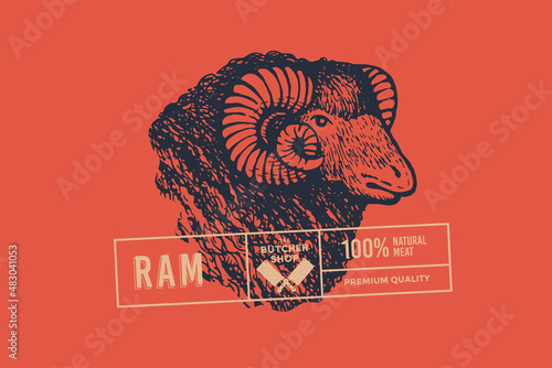 Head of a ram. Hand-drawn retro picture with an animal in engraving style. Can be used for restaurant menu design, market packaging, and labels. Vector vintage illustrations on a red background.