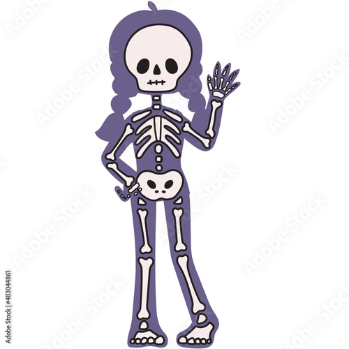 X-rays skeleton vector illustration in line filled design