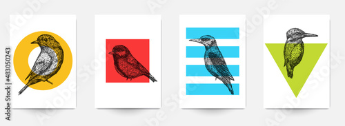 Set background template of card, cover, poster, banner, flyer with hand drawn birds and color geometric shapes. Collection minimalistic modern art composition. Creative vector illustration.