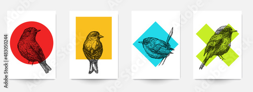 Set background template of card, cover, poster, banner, flyer with hand drawn birds and color geometric shapes. Collection minimalistic modern art composition. Creative vector illustration. photo