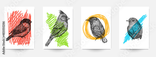 Set background template of card, cover, poster, banner, flyer with hand drawn birds and color doodle shapes. Collection minimalistic modern art composition. Creative vector illustration. © cgterminal