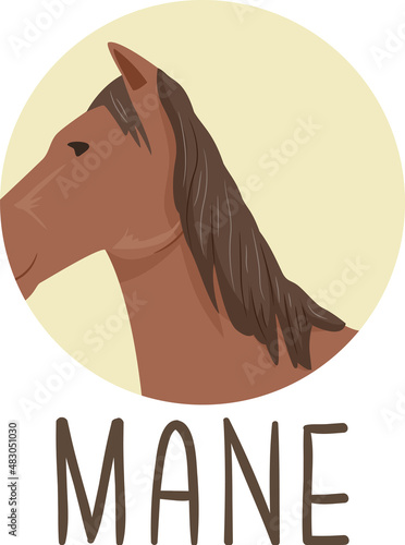Animal Body Part Horse Mane...