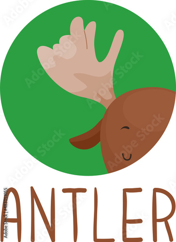 Animal Body Part Moose Antl...