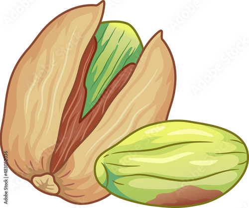 Pistachio Nuts Illustration