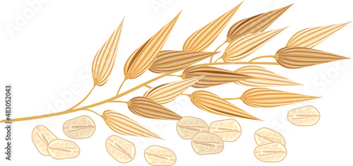 Oats Leaf Grains Illustration