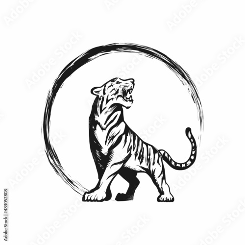 design elements of tiger vector illustrations