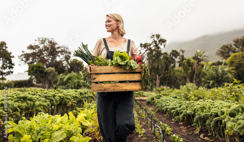 Female organic farmer gathering fresh vegetables on her farm