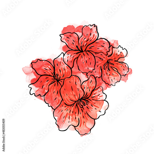 Vintage hand-drawing background with flowers. illustration isolated.