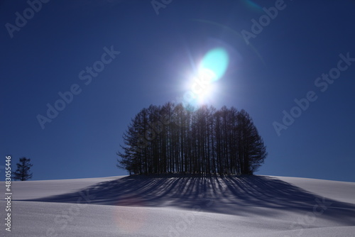 北海道美瑛のマイルドセブンの丘