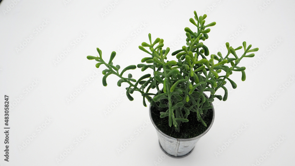 Artificial plants or fake tree on white background. Artificial plants or fake tree on white background.