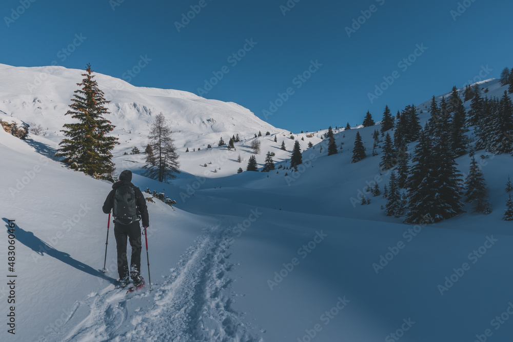 An unrecognizable male hiker wearing snowshoes walking in the French Alps on a cold winter day (L'Enclus, Devoluy, Hautes-Alpes) An unrecognizable male hiker wearing snowshoes walking in the French Alps on a cold winter day (L'Enclus, Devoluy, Hautes-Alpes)