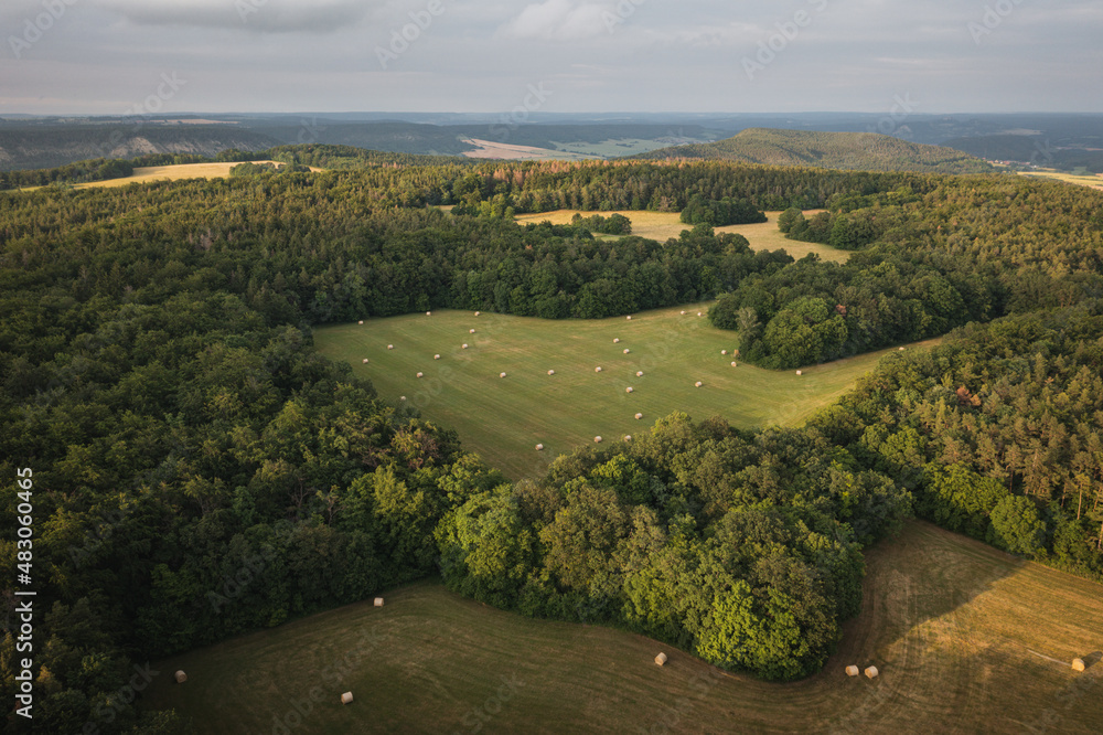 Sustainable forestry and agriculture in Germany Hay bales on a field 