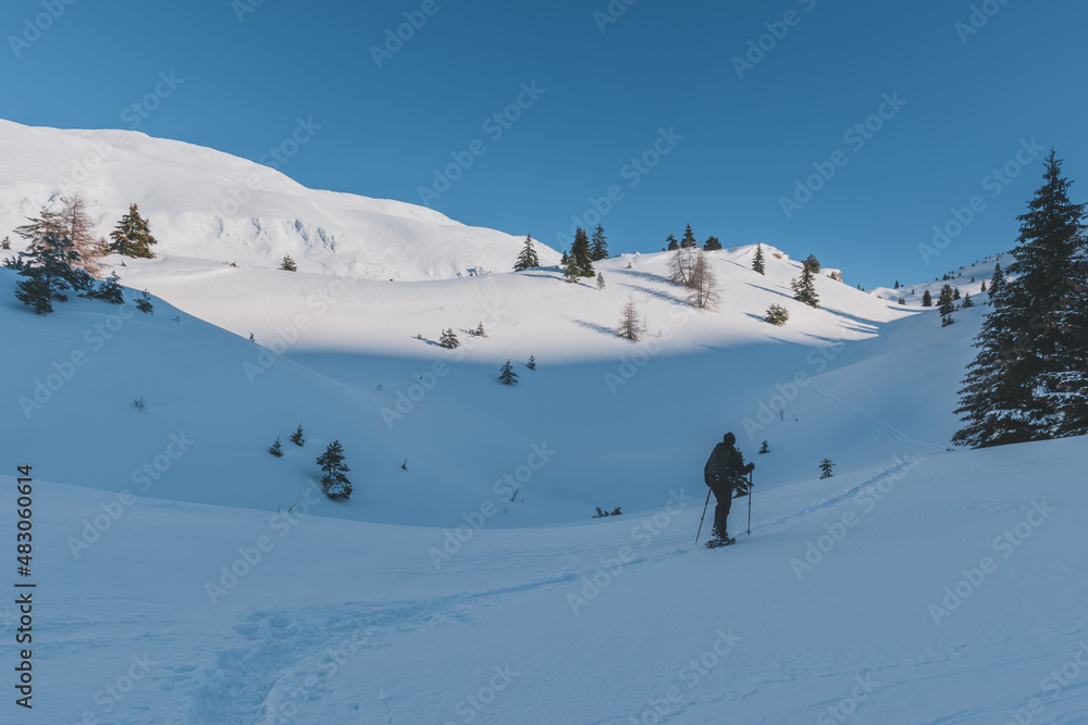 An unrecognizable male hiker wearing snowshoes walking in the French Alps on a cold winter day (L'Enclus, Devoluy, Hautes-Alpes)
