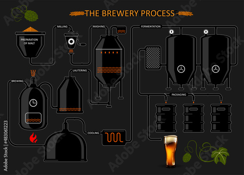 Diagram of  the process of brewing beer. Detailed illustration