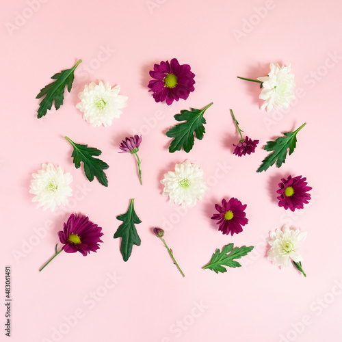 Spring layout made of flowers and leaves on pastel pink background. Minimal pattern visual. Creative flat lay.  Nature od Valentine cocncept. photo