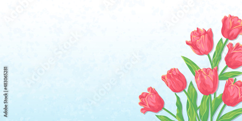 赤いチューリップの花と青空の背景　ベクターイラスト素材