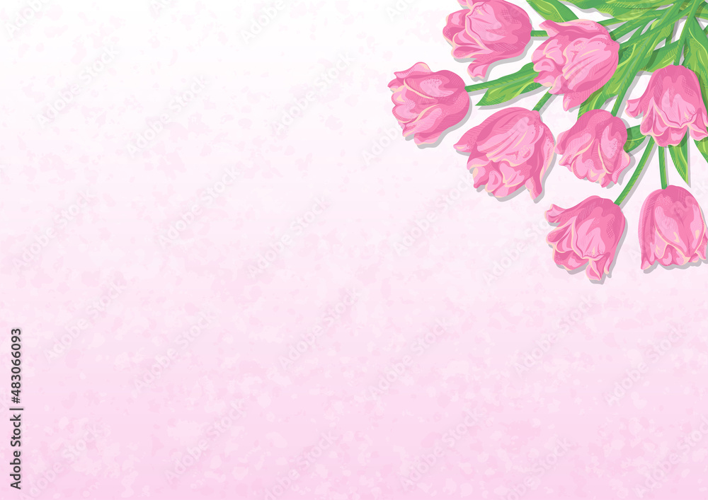 Fototapeta premium ピンクのチューリップの花と淡いカラーの背景 ベクターイラスト素材