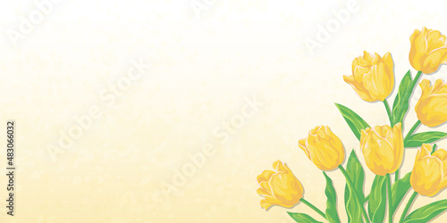 黄色いチューリップの花と淡いカラーの背景　ベクターイラスト素材