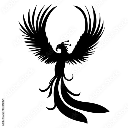 phoenix bird silhouette, on white background, vector