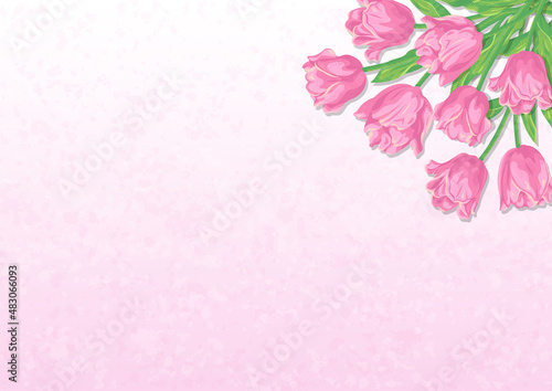 ピンクのチューリップの花と淡いカラーの背景　ベクターイラスト素材