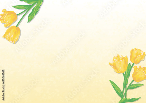 黄色いチューリップの花と淡いカラーの背景　ベクターイラスト素材