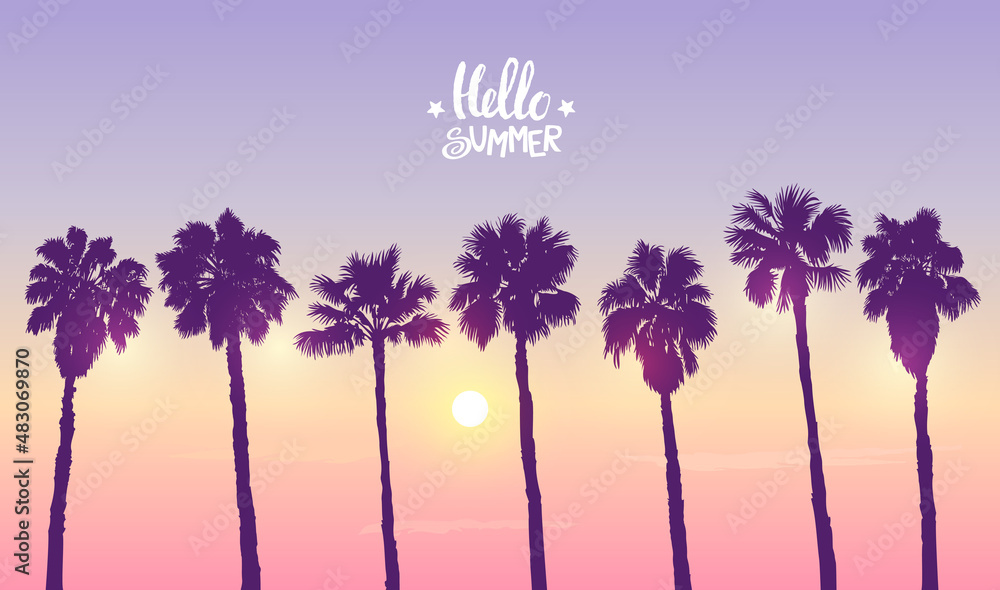 palm sunset palm sunset