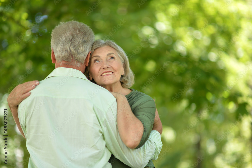Obraz premium Happy senior couple in summer park dancing