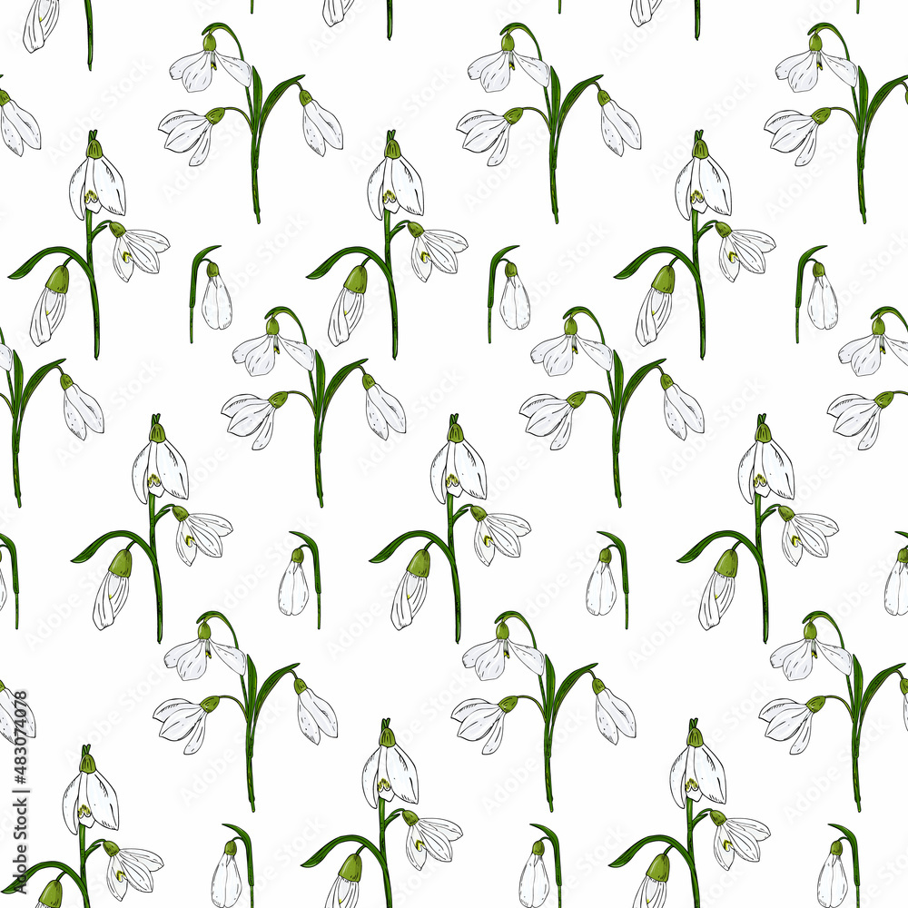 floral seamless pattern. Background with white spring flowers snowdrops