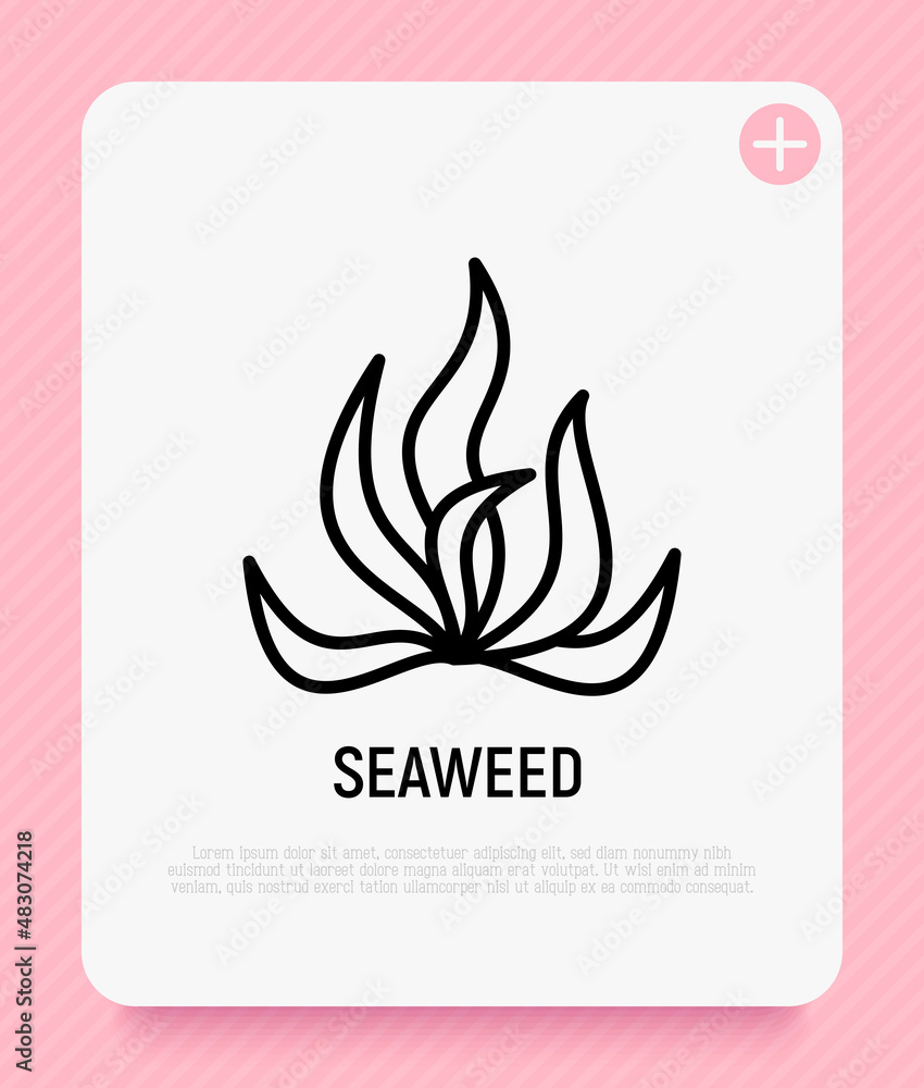 Fototapeta premium Seaweed, spirulina, algae thin line icon. Mineral nutrition, organic food. Vector illustration.