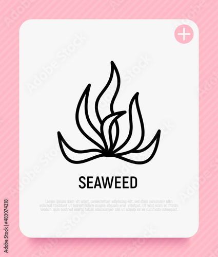Seaweed, spirulina, algae thin line icon. Mineral nutrition, organic food. Vector illustration.