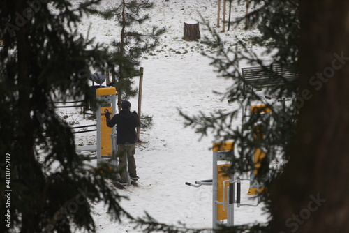 branches of pine tree, pine, park, green, nature , people