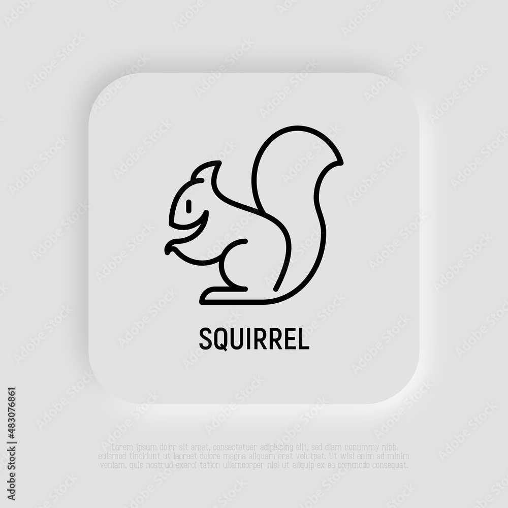 Squirrel thin line icon. Modern vector illustration. Squirrel thin line icon. Modern vector illustration.
