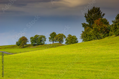 Beautiful minimalist landscape with green meadows  trees and dramatic storm clouds