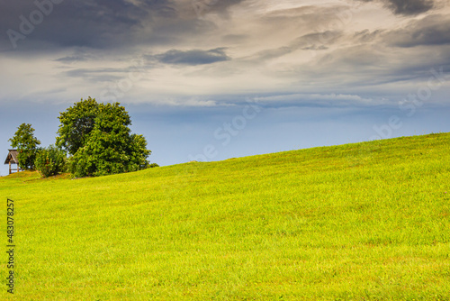 Fototapeta Naklejka Na Ścianę i Meble -  Beautiful minimalist landscape with green meadows, trees and dramatic storm clouds
