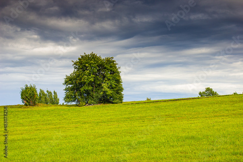 Beautiful minimalist landscape with green meadows, trees and dramatic storm clouds
