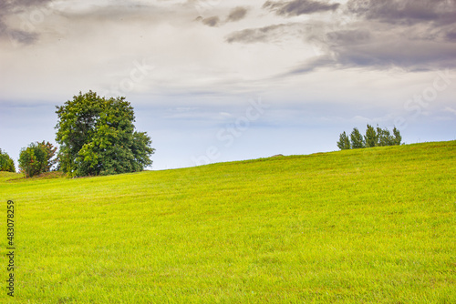 Beautiful minimalist landscape with green meadows  trees and dramatic storm clouds