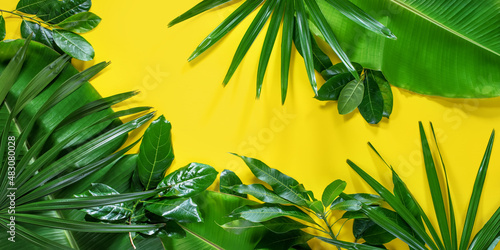 Fototapeta Naklejka Na Ścianę i Meble -  Tropical palm leaves flat lay on yellow background