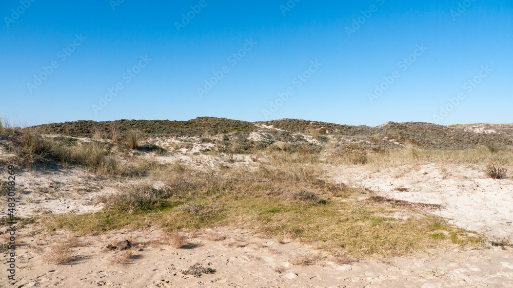 Paisaje de dunas y arbusto en zona costera