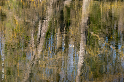 View of the reflection of trees in the Lahn/Germany in spring 