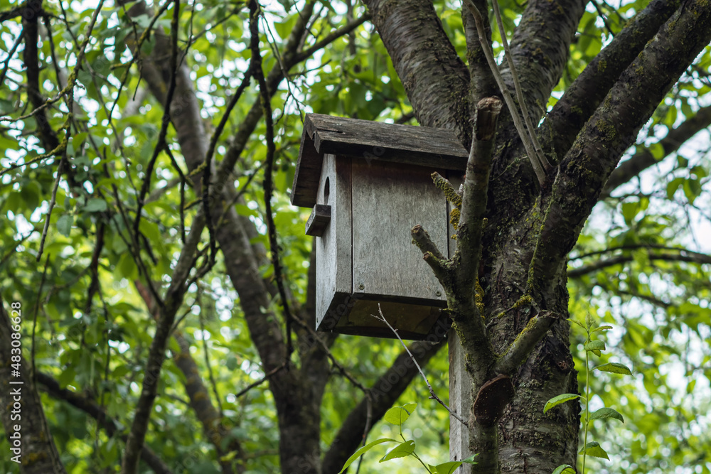 An old wooden birdhouse in a tree garden. There are branches and green foliage in the background. An old wooden birdhouse in a tree garden. There are branches and green foliage in the background.